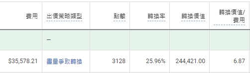 Google 廣告投放案例